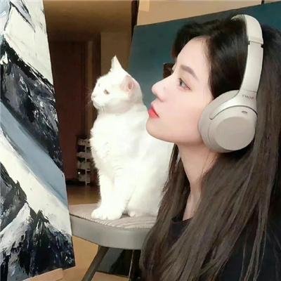 机械陪伴