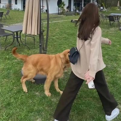你给我记住
