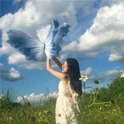 飞龙引凤